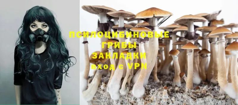 Псилоцибиновые грибы Magic Shrooms  где купить   Яровое 